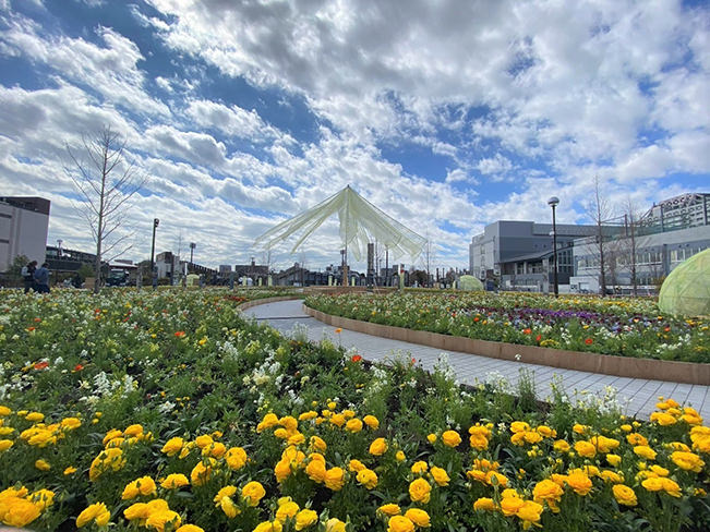 メインガーデン