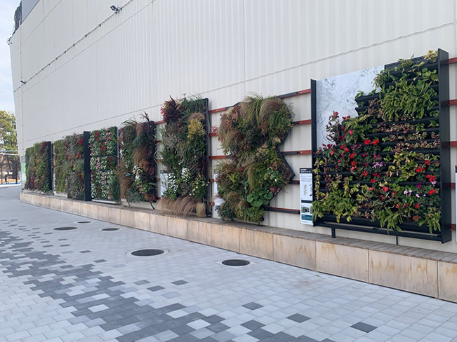 壁面緑化