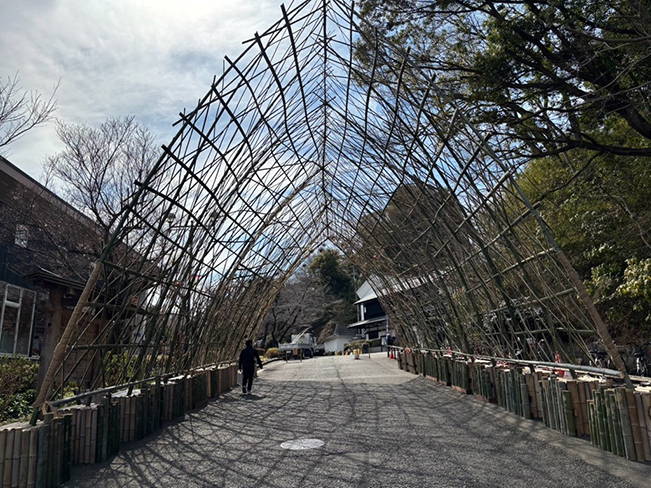 竹のエントランスゲート
