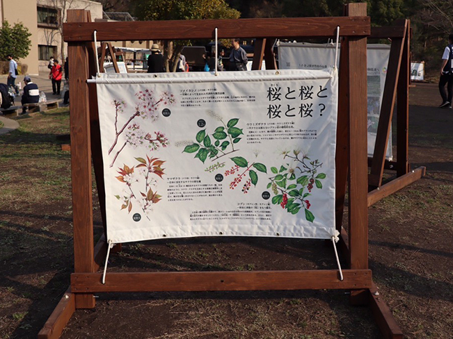 自然に親しむ企画展