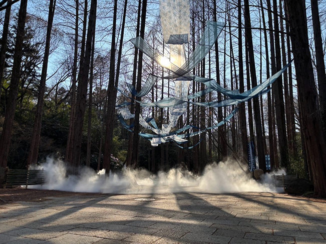 藍と霧のメタセコイア