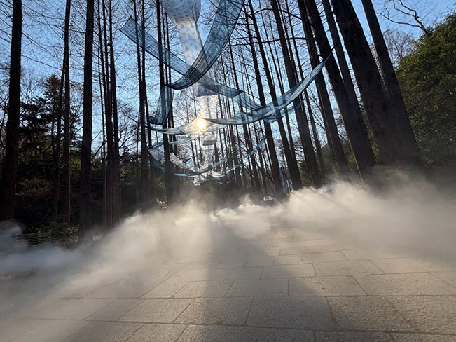 藍と霧のメタセコイア