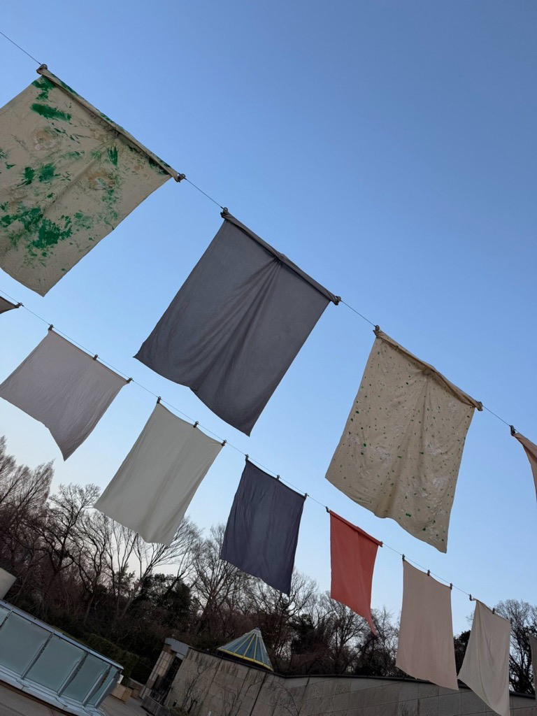 色を楽しむ草木染めアート