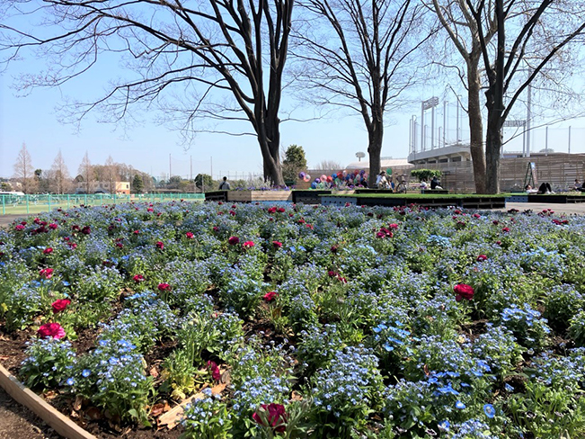 「花づくり・花かざり」花壇
