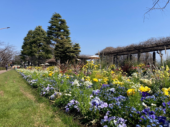 ロングボーダーガーデン