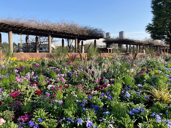 ロングボーダーガーデン