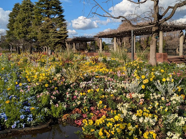 ロングボーダーガーデン