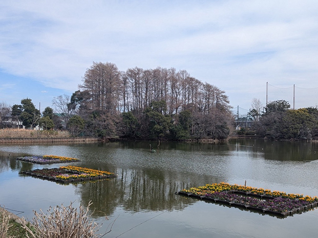 ロングボーダーガーデン